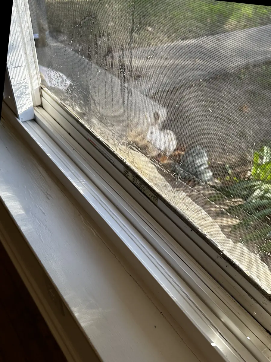 The same window track clean, after